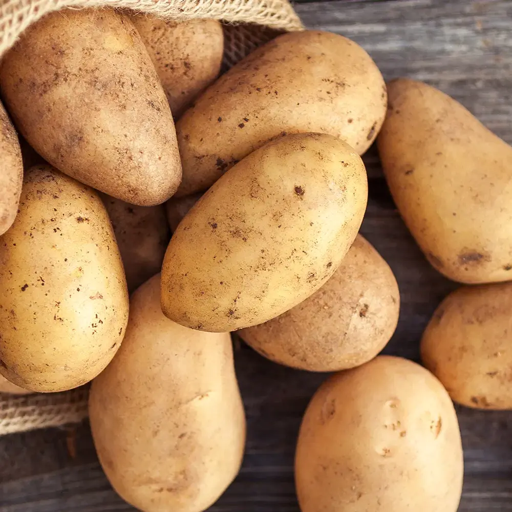 Heurige-Fruehkartoffeln-1000