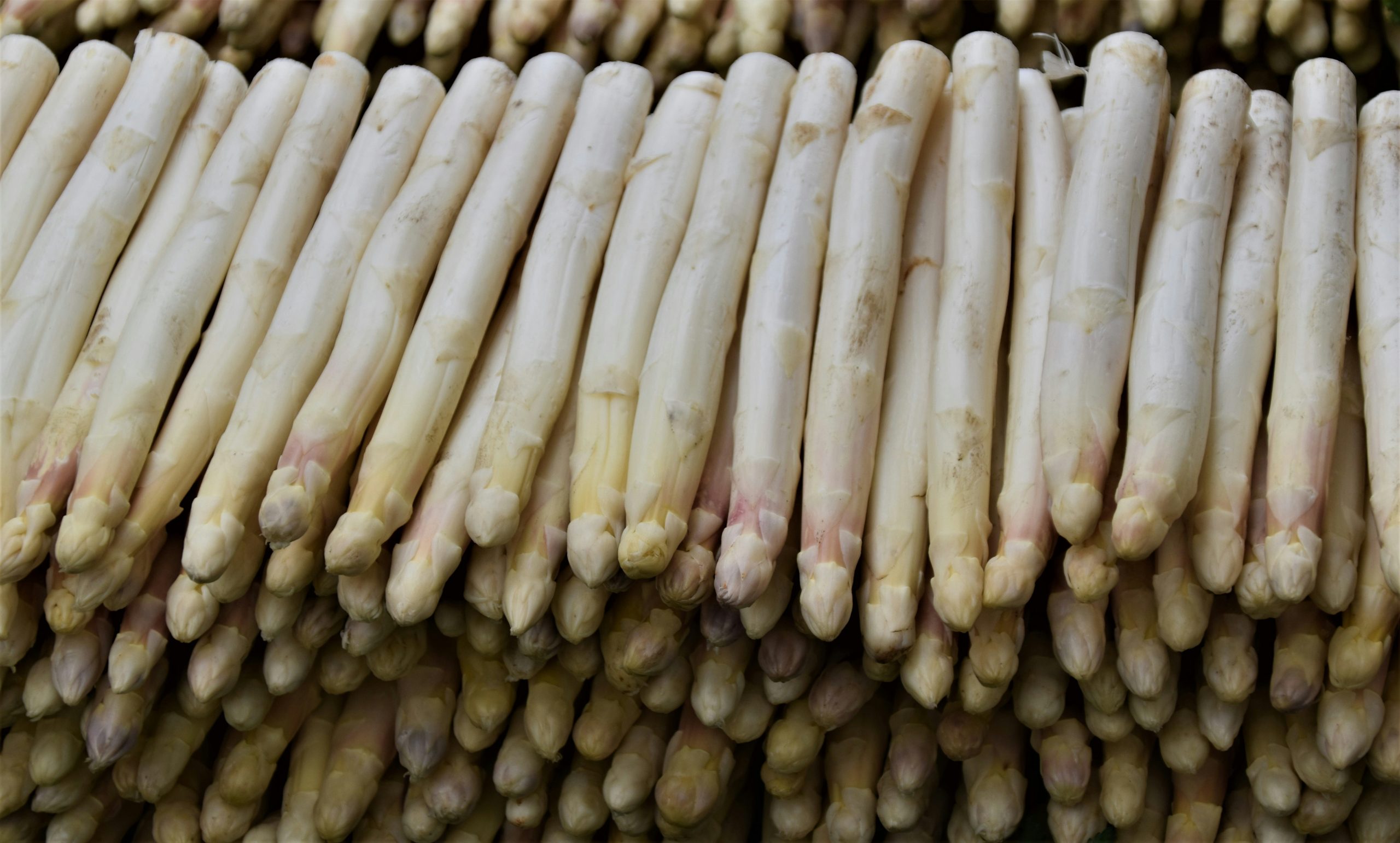 Spargel Weiß Homepage