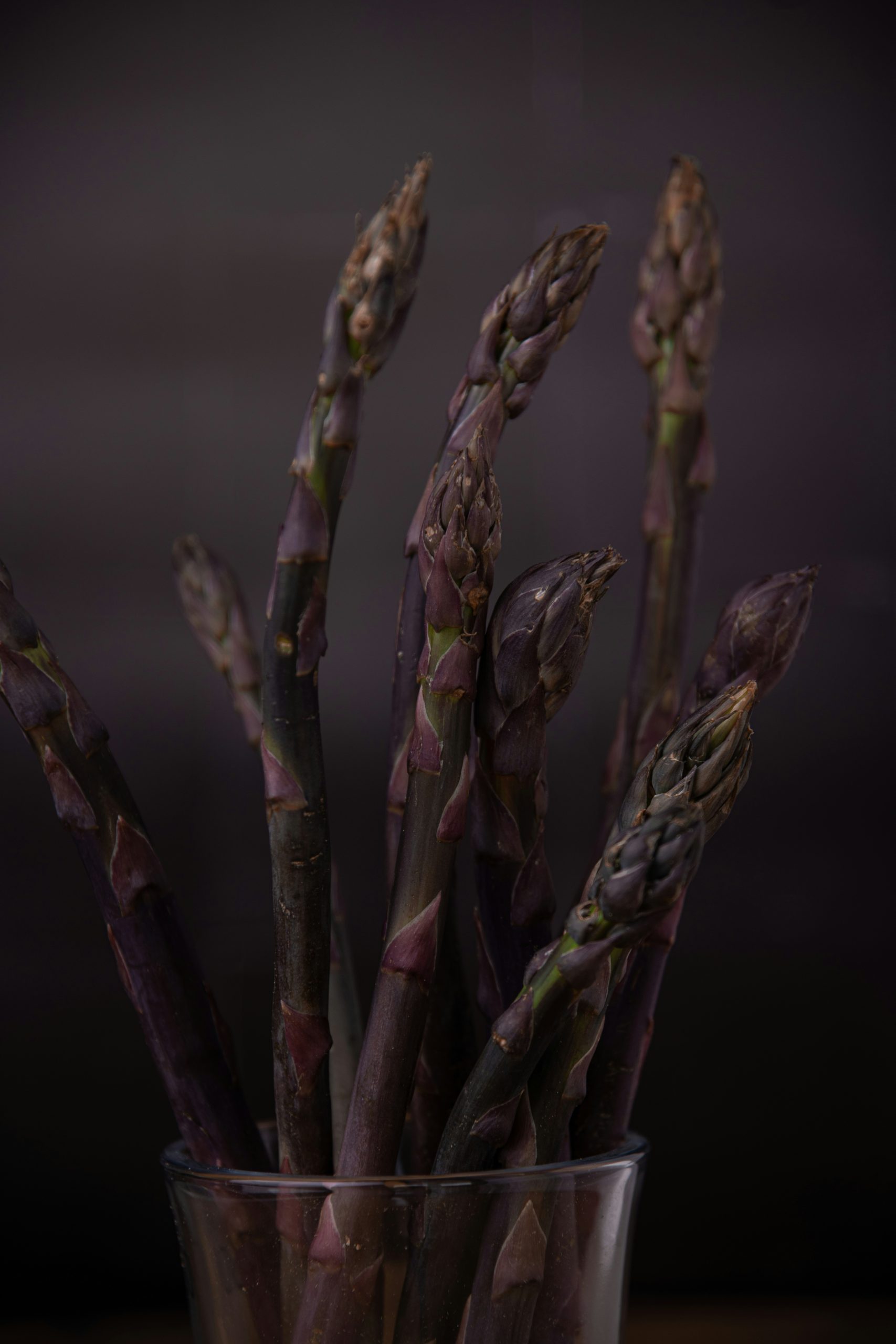 purpur spargel joanna-stolowicz-ww52TdiA6iw-unsplash