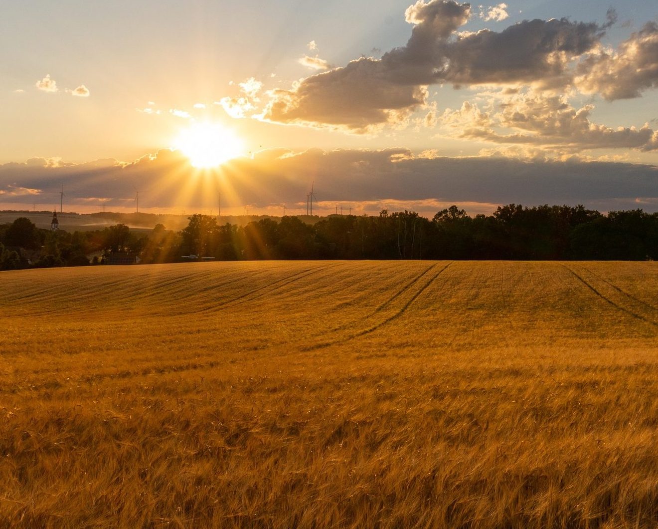 schorsch63-nature-7594521_1920